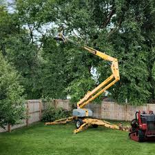 Best Hedge Trimming  in Holiday City South, NJ